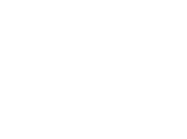 SaltyBird